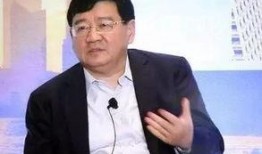 徐小平爆料新闻视频全集,揭秘事件真相与内幕